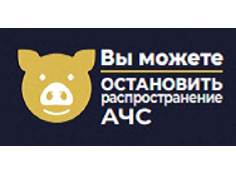 Африканская чума свиней (АЧС). Африканская чума свиней (АЧС).